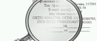 Если ИНН и КПП у индивидуальных предпринимателей